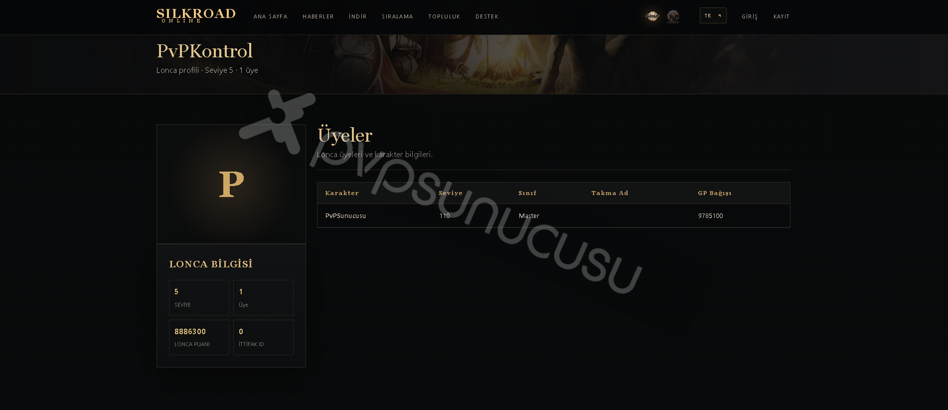 Ücretsiz WebPaneli görseli 3